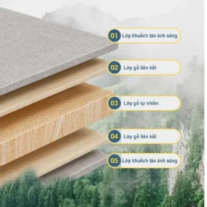 Ảnh sản phẩm 7