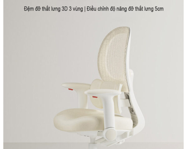 Ghế công thái học DSY-1009 tựa lưng 3 vùng hỗ trợ