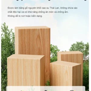 Ảnh sản phẩm 5