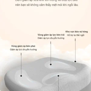 Ảnh sản phẩm 8
